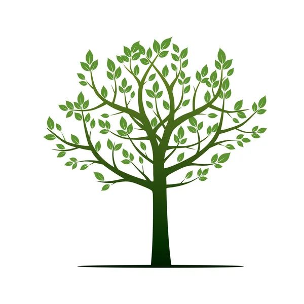 Árvore verde. Ilustração vetorial . —  Vetores de Stock