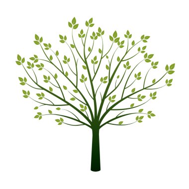 Yeşil ağaç. Vektör çizim.