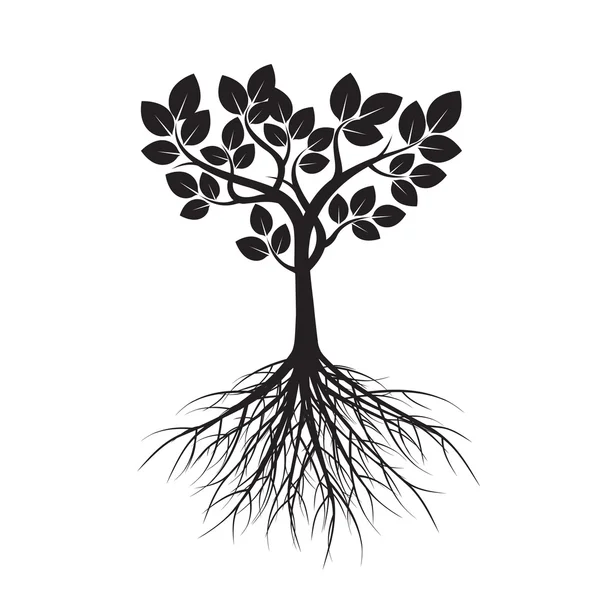 Forma de árbol y raíces. Ilustración vectorial . — Vector de stock