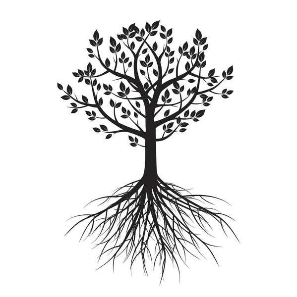Form von Baum und Wurzeln. Vektorillustration. — Stockvektor