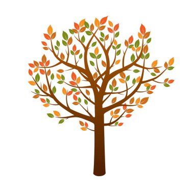 Sonbahar ağaç renk ve yapraklar. Vektör çizim.