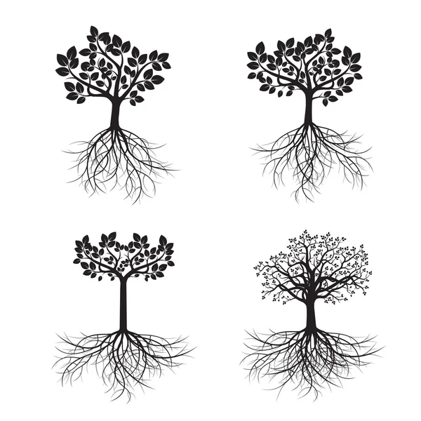 Ορίστε μαύρα δέντρα και ρίζες. Vector εικονογράφηση. — Διανυσματικό Αρχείο