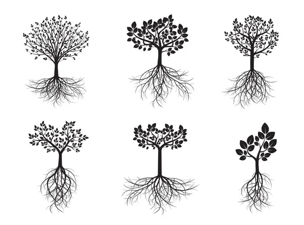 Set Black Trees and Roots. Vector Illustration. — Stock Vector