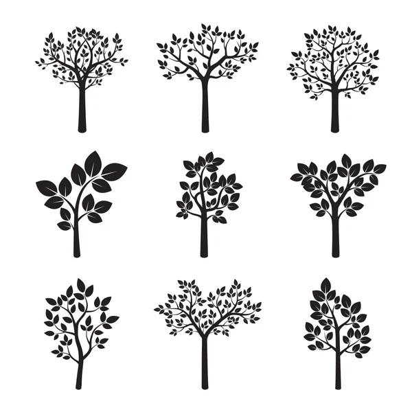 Set d'arbres noirs. Illustration vectorielle . — Image vectorielle