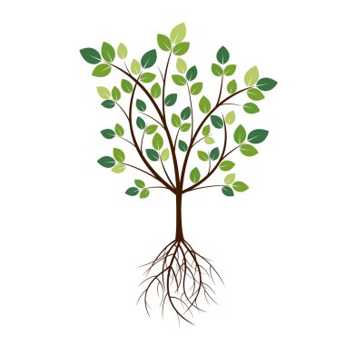 Renk ağaç ve kökleri. Vektör çizim.