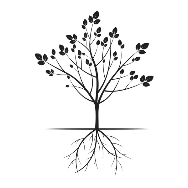 Zwarte boom en wortels. Vectorillustratie. — Stockvector