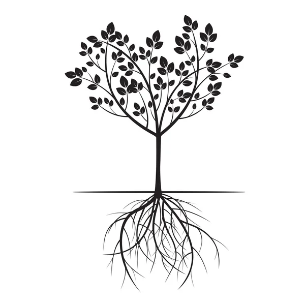 Black Tree and Roots. Vector Illustration. — Stock Vector