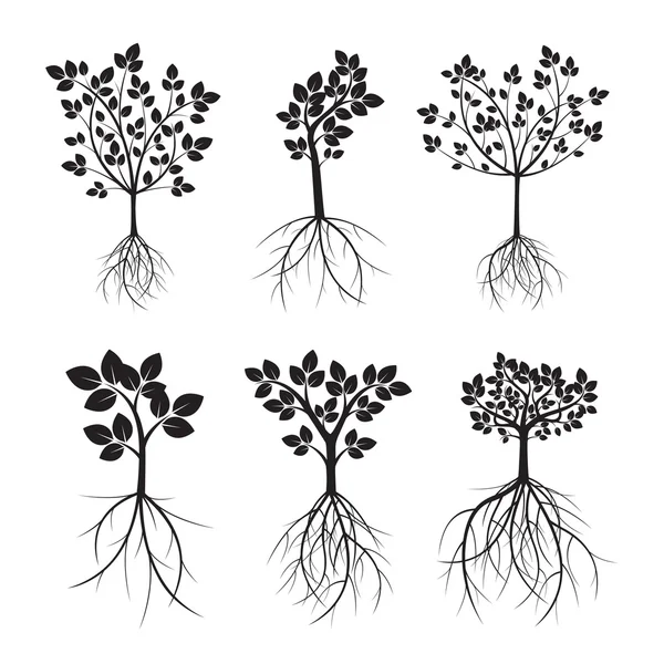 Встановити чорні дерева і коріння. Векторна ілюстрація . — стоковий вектор