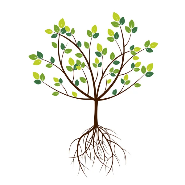 Kleur de boom. Vectorillustratie. — Stockvector