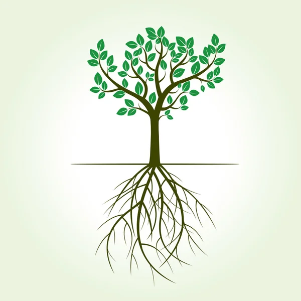 Groene boom en bladeren. Vectorillustratie. — Stockvector