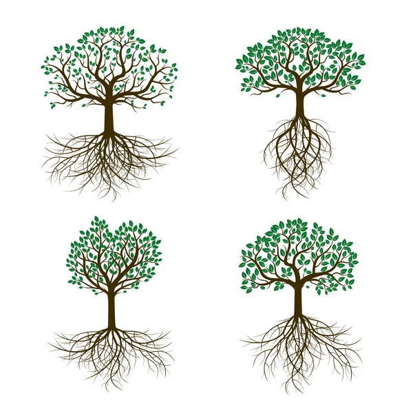 Arbres colorés et feuilles. Illustration vectorielle . — Image vectorielle