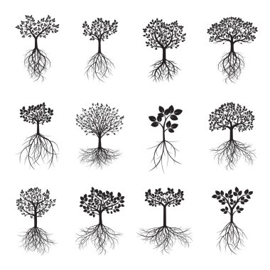 Ayarla siyah ağaç ve yapraklar. Vektör çizim.