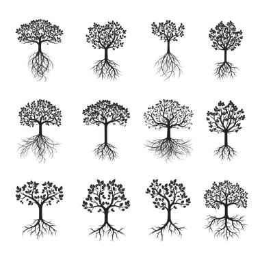 Ayarla siyah ağaç ve yapraklar. Vektör çizim.