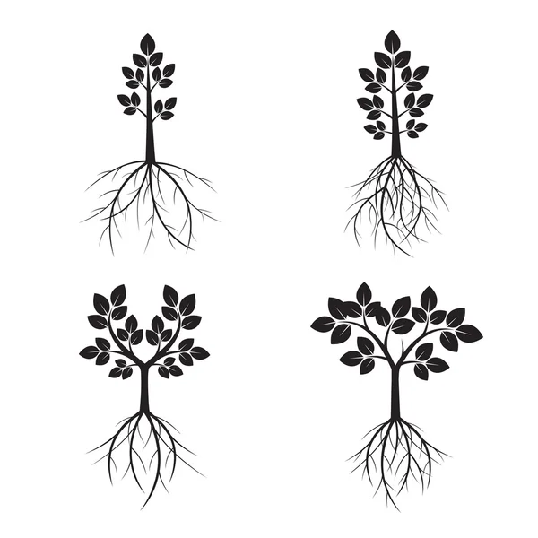 Set Arbres noirs et racines. Illustration vectorielle . — Image vectorielle