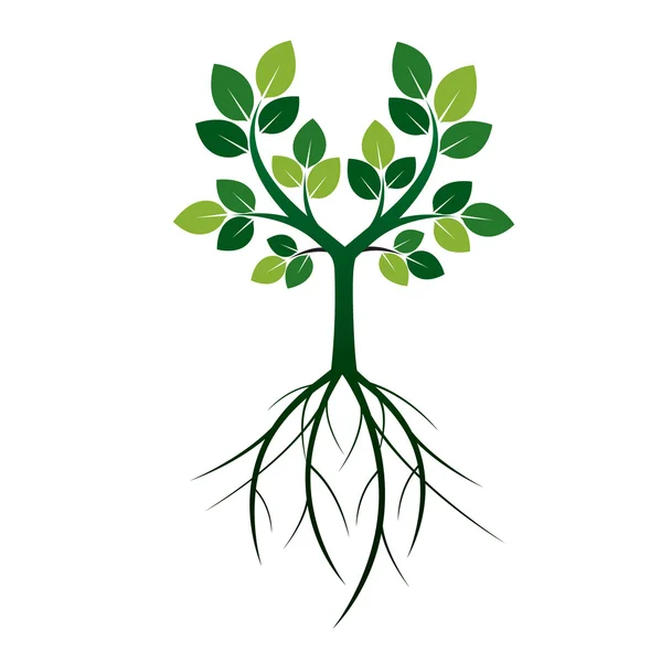 Forma de árbol verde y raíces. Ilustración vectorial . — Vector de stock