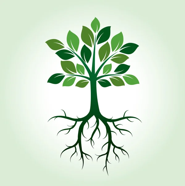 Shape of Green Tree. Vector Illustration. — Stock Vector