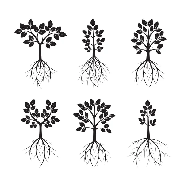 黒い木と根を設定します。ベクトル図. — ストックベクタ