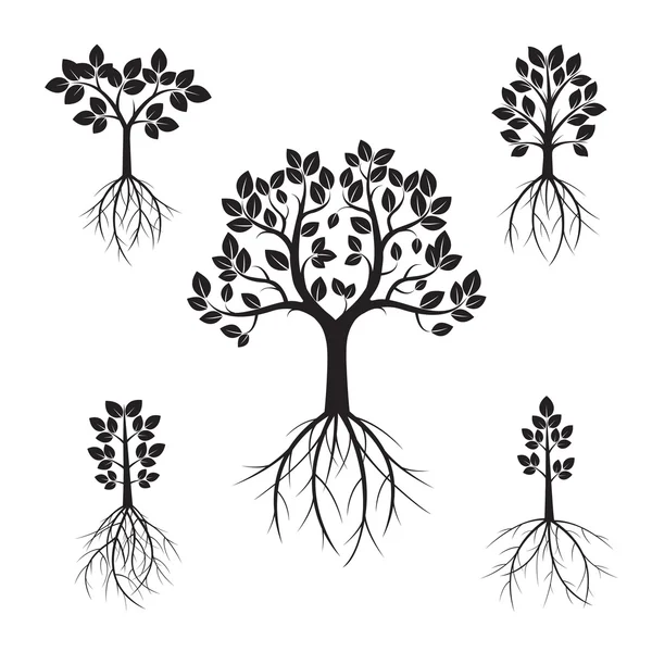 Set Arbres noirs et racines. Illustration vectorielle . — Image vectorielle