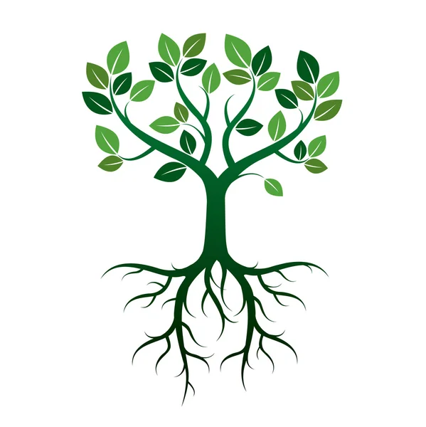 Σχήμα πράσινο δέντρο. Vector εικονογράφηση. — Διανυσματικό Αρχείο