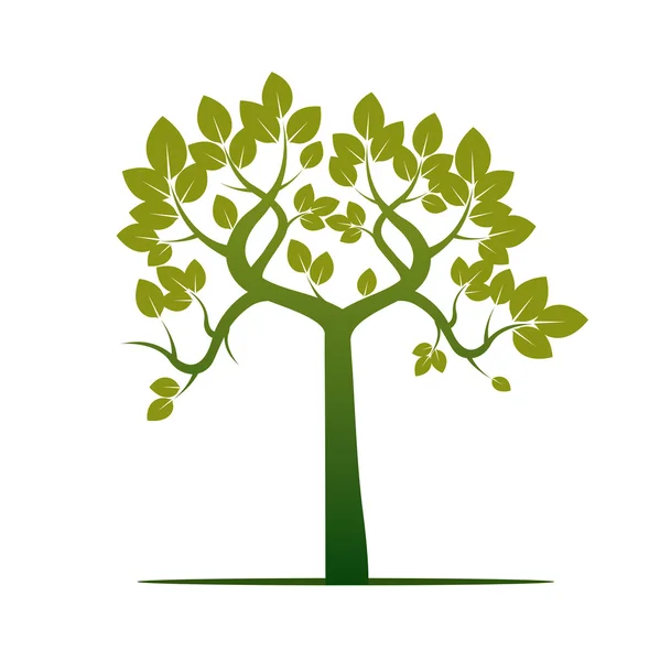 Shape of Green Tree. Vector Illustration. — Stock Vector