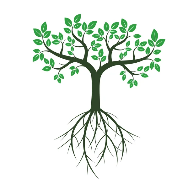 Green Trees. Vector Illustration. — Stock Vector