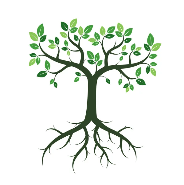 Groene bomen. vectorillustratie. — Stockvector