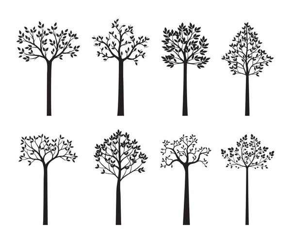 Reculez Arbres Feuilles Schéma Vectoriel Illustration Fichier Eps — Image vectorielle