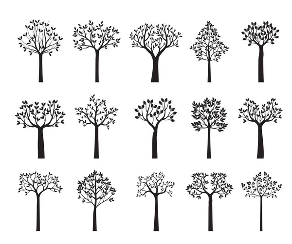 Ağaçlar ve Yapraklar 'ı geri çek. Vektör taslağı çizimi. EPS dosyası.