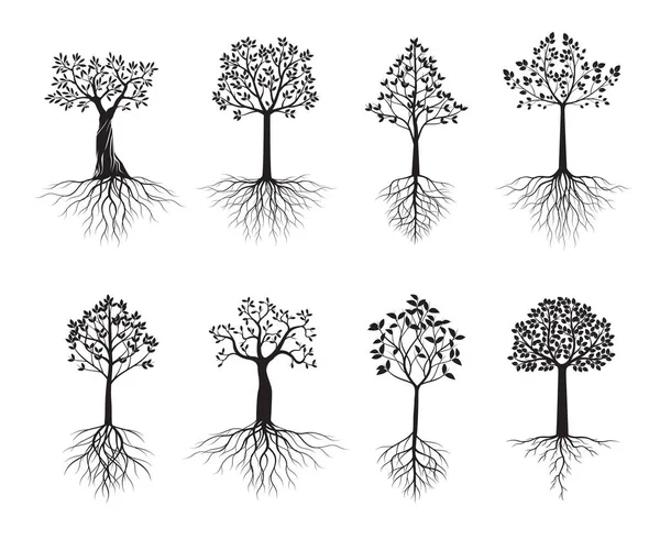 Arbres Noirs Avec Des Racines Des Feuilles Illustration Vectorielle Collection — Image vectorielle