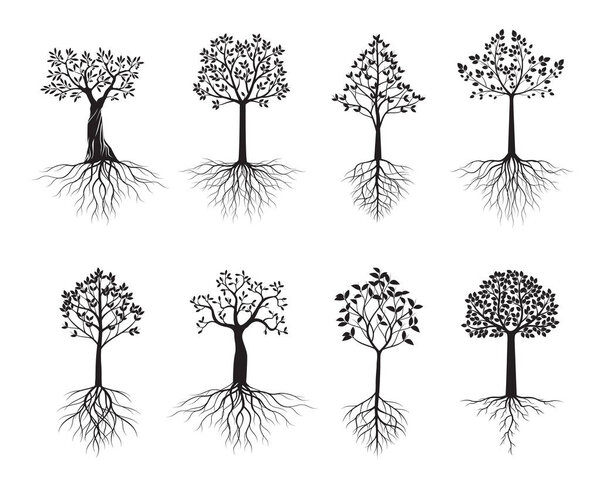 Чёрные деревья с корнями и листьями. Векторная иллюстрация. Коллекция икон.