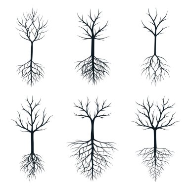 Kökleri olan bir ağaç seti. Vektör taslağı çizimi. Bahçede Bitki.