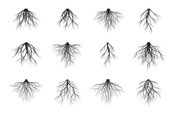 Sada Černých Kořenů Stromu Vektorový Přehled Ilustrace Rostlina Zahrada — Stockový vektor