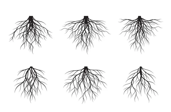 Sada Černých Kořenů Stromu Vektorový Přehled Ilustrace Rostlina Zahrada — Stockový vektor