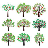 Картина, постер, плакат, фотообои "set of color apple trees. vector illustration.", артикул 80213530