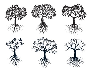 Set of Black Trees and Roots vector