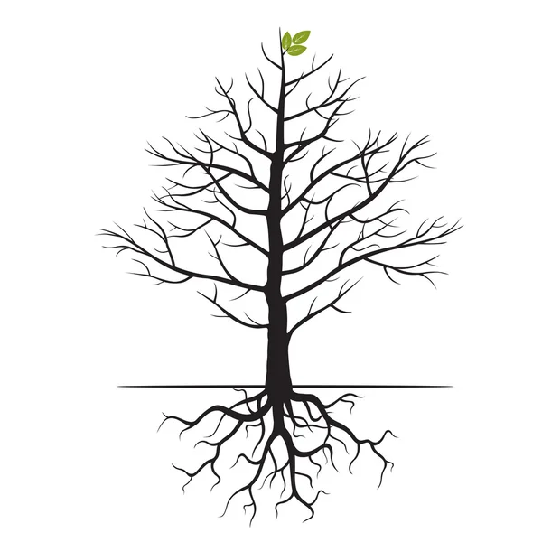 Ağaç ve kökleri. Vektör çizim.