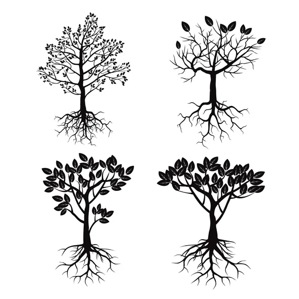 Conjunto de árvores negras e raízes . — Vetor de Stock