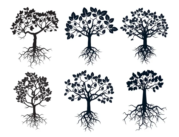 Set of Black Trees and Roots — Stock Vector