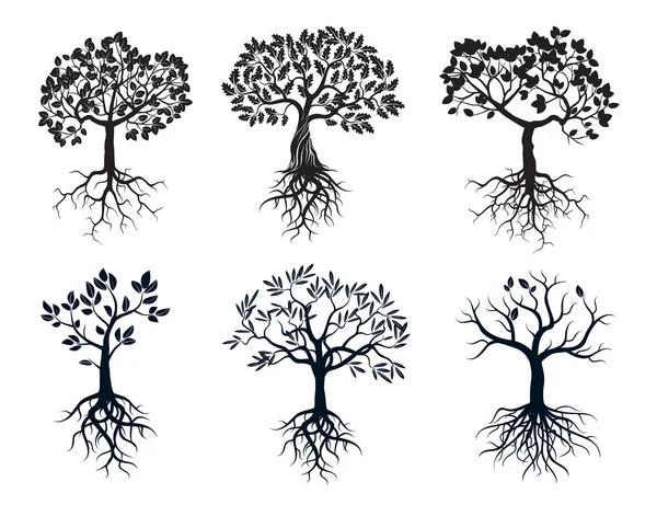 Set of Black Trees and Roots — Stock Vector