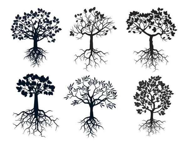 Set of Black Trees and Roots — Stock Vector