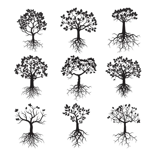 Set of Black Trees and Roots — Stock Vector