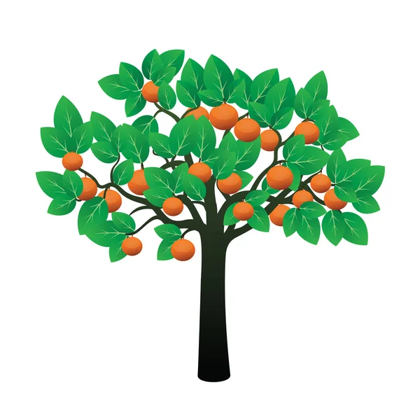 Oranje boom en fruit. Vectorillustratie. — Stockvector