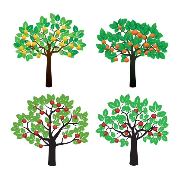 Meyve ağacı kümesi. Vektör çizim.