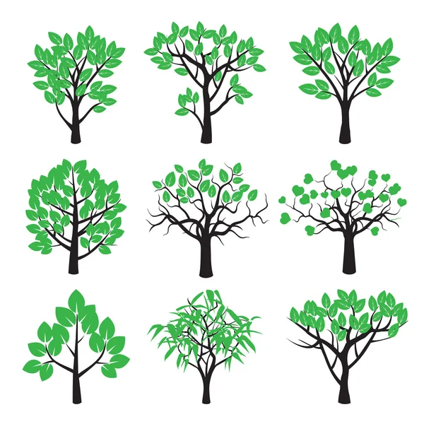 Set of  vector plants, trees and green leafs. Royalty Free Stock Illustrations