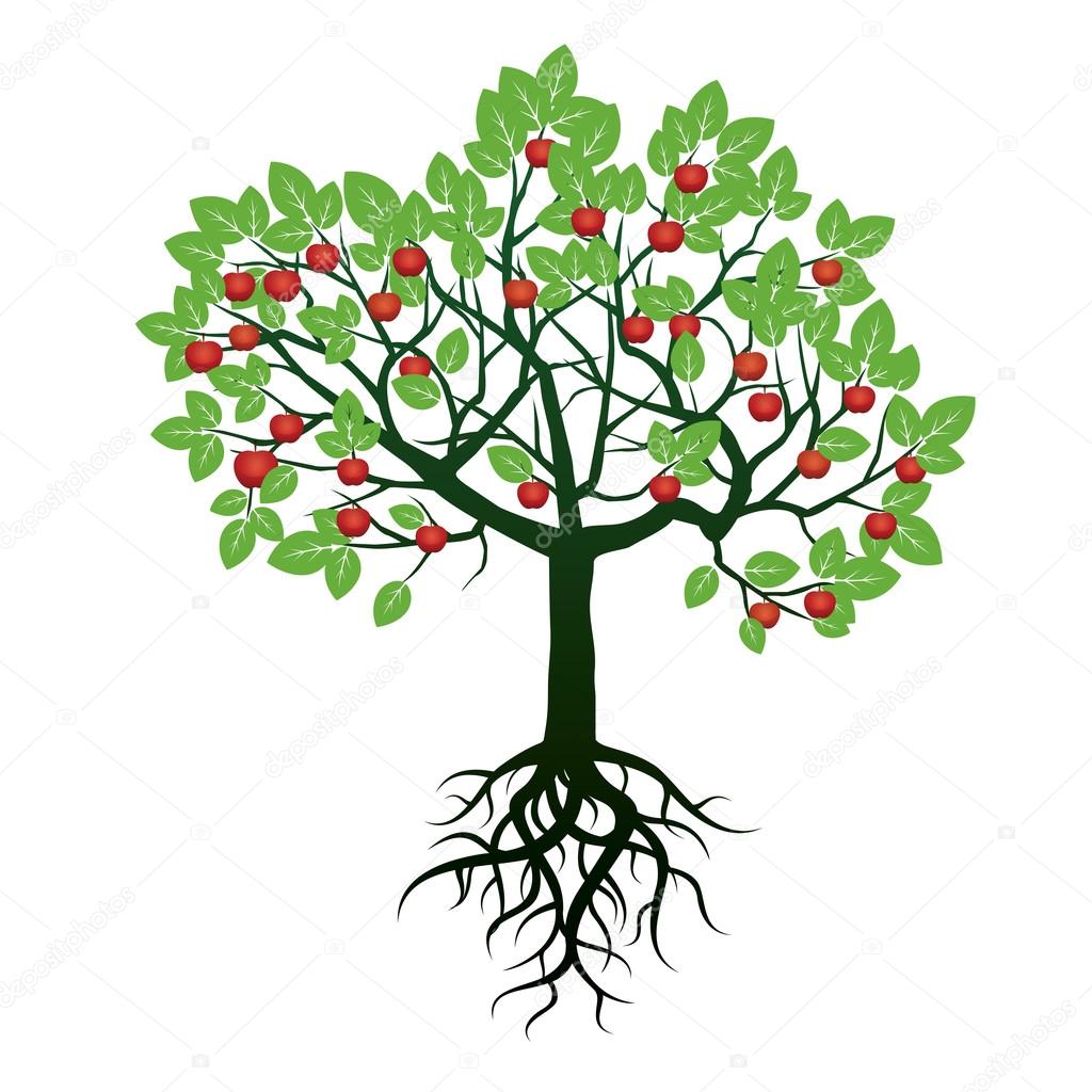 Tree, Green Leafs, Roots  and Red Apples. Vector Illustration.