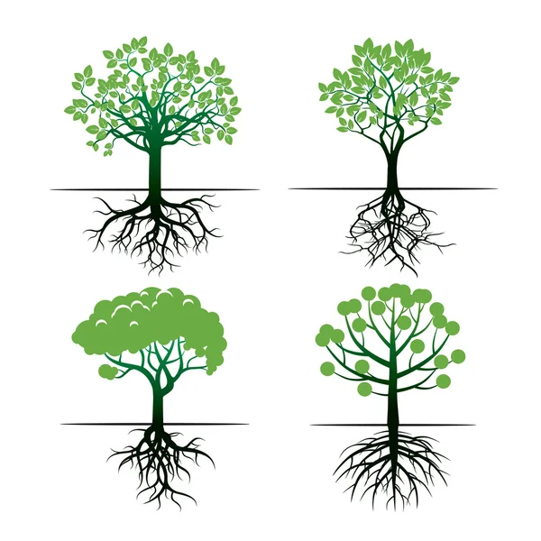 Ağaçlar ve kökler kümesi