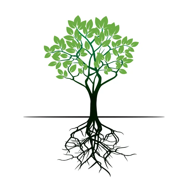 Strom a kořeny. Vektorové ilustrace. — Stockový vektor