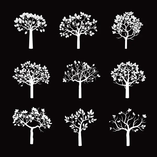 Ensemble d'arbres blancs et de fond noir — Image vectorielle