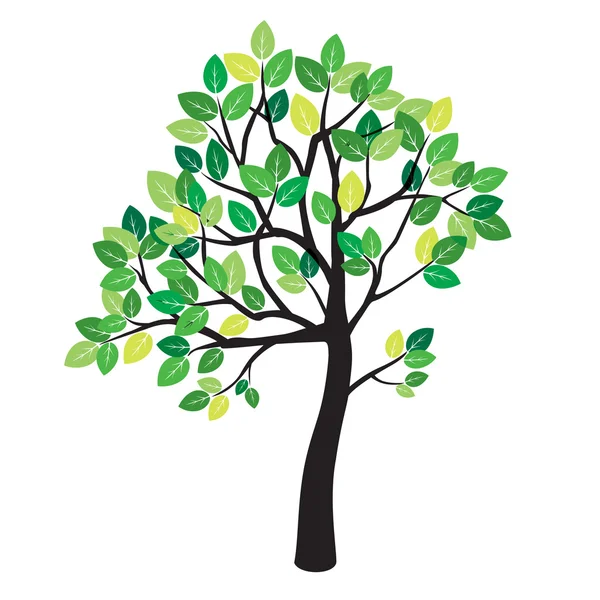 Barevné letní strom. Vektorové ilustrace. — Stockový vektor
