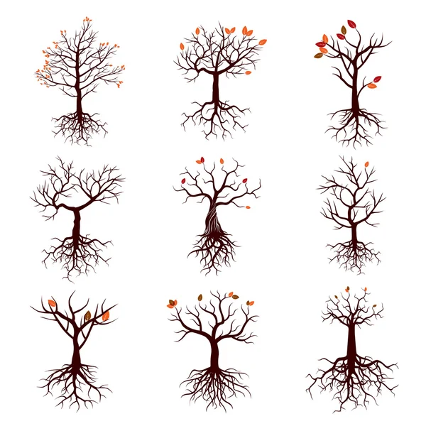 Conjunto de árboles de temporada y raíces — Archivo Imágenes Vectoriales